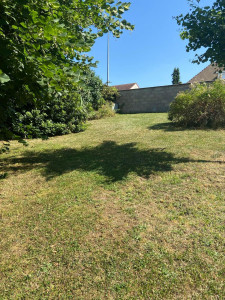 Photo de galerie - Tonte de pelouse - Débroussaillage