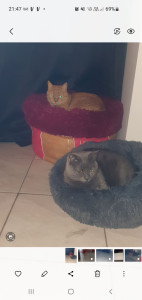 Photo de galerie -  copains copines