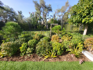 Photo de galerie - Plantations 