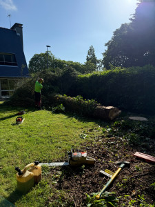 Photo de galerie - Elagage et coupe d'arbres