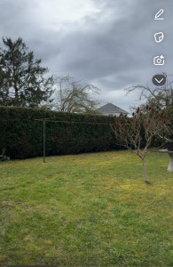 Photo de galerie - Tonte de pelouse - Débroussaillage