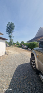 Photo de galerie - Elagage et coupe d'arbres