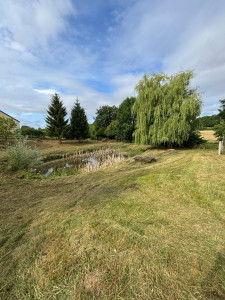 Photo de galerie - Remise en état 