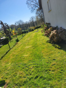 Photo de galerie - Petit tonte 