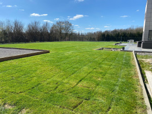 Photo de galerie - Tonte de pelouse - Débroussaillage