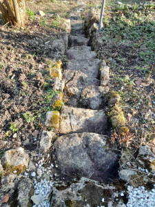 Photo de galerie - Paysagiste - Aménagement du jardin