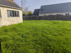 Photo de galerie - Tonte de pelouse - Débroussaillage