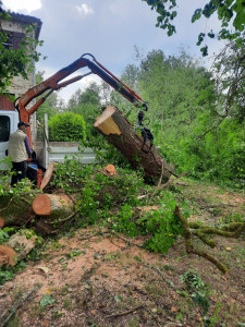 Photo de galerie - Bonjour je propose mes services pour tout ce qui est élagage et abattage arbres avec camion nacelle