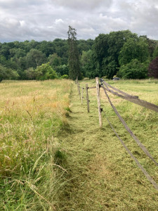 Photo de galerie - Débroussaillage d’une clôture de parc à chevaux.