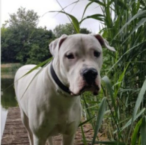 Photo de galerie - Malko 