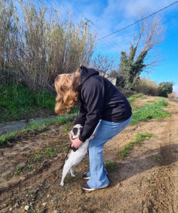 Photo de galerie - Garde de différents toutous ?