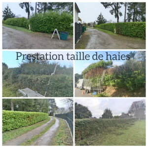 Photo de galerie - Prestations taille de haies 