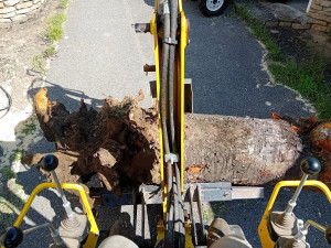 Photo de galerie - Paysagiste - Aménagement du jardin