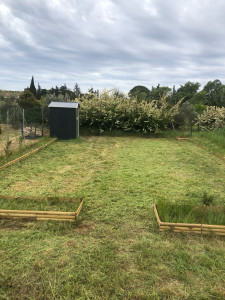 Photo de galerie - Tonte à la débroussailleuse 