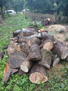 Photo de galerie - Couper les tronc chez un client pour du bois de chauffage 