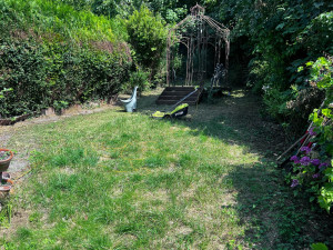 Photo de galerie - Avant