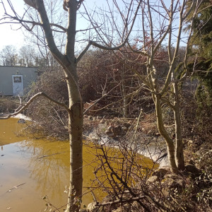 Photo de galerie - Autour d'un bassin