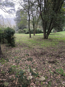 Photo de galerie - Débroussaillage 