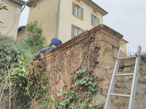Photo de galerie - Tonte de pelouse - Débroussaillage