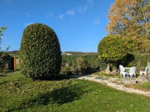 Photo de galerie - Taille