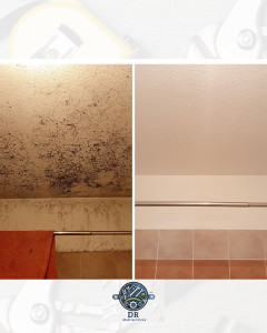 Photo de galerie - Suppression de mousse, reprise peinture