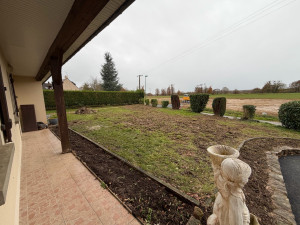 Photo de galerie - Remise en forme d’une haie avec de l’arrachage pour recréer une haie plus jeune
