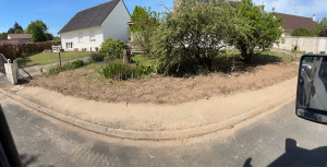 Photo de galerie - Arrachage 