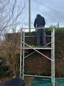 Photo de galerie - Taille de haies 