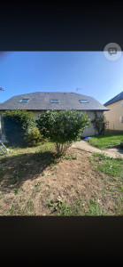 Photo de galerie - Taille arbuste