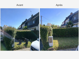 Photo de galerie - Taille de haie 