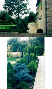 Photo de galerie - Paysagiste - Aménagement du jardin