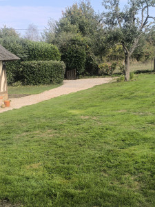 Photo de galerie - Tonte