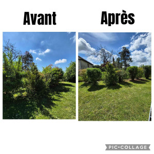 Photo de galerie - Taille de divers arbustes