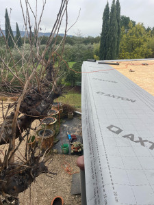 Photo de galerie - Toit plat 