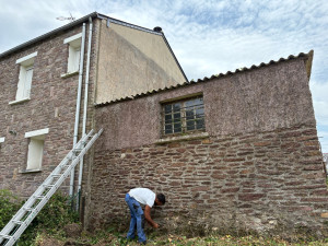 Photo de galerie - Taille de haies et d'arbustes