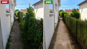 Photo de galerie - Débroussaillage allée