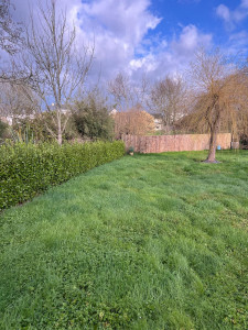 Photo de galerie - Tonte de pelouse - Débroussaillage