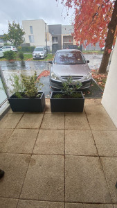 Photo de galerie - Paysagiste - Aménagement du jardin