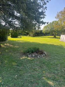 Photo de galerie - Tonte de pelouse 