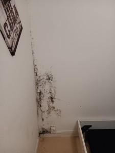 Photo de galerie - Moisissure sur un mur enlever avec un produit que je fais moi même voir photo 2 