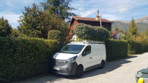 Photo de galerie - Taille de haies