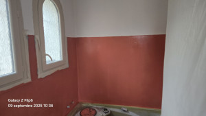 Photo de galerie - Mis en place d'un enduit spécial salle de bain pour caché la faïence plus peinture 
