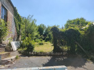 Photo de galerie - Tonte de pelouse - Débroussaillage