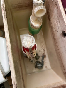 Photo de galerie - Changement chasse d’eau 