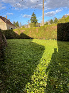 Photo de galerie - Débroussaillage 