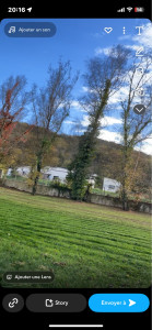 Photo de galerie - Elagage et coupe d'arbres