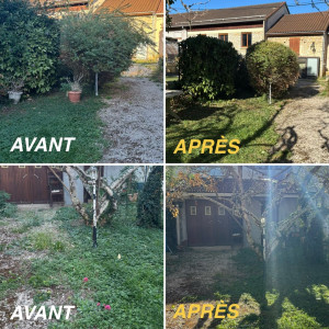 Photo de galerie - Taille arbustes