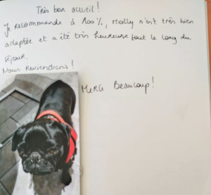 Photo de galerie - Garde chien