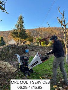 Photo de galerie - Taille d'arbres et broyage de végétaux pour paillage 