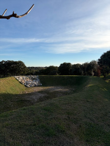 Photo de galerie - Débroussaillage d’un bassin de récupération d’eau 